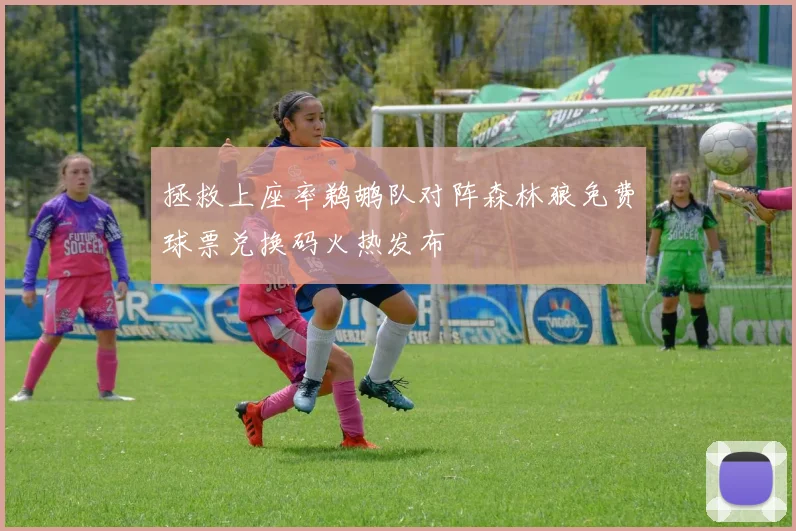 拯救上座率鹈鹕队对阵森林狼免费球票兑换码火热发布